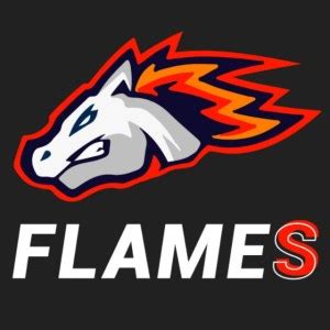 flamesbet,flames bet login